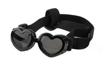 protective pet glasses on a dog