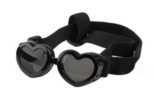 protective pet glasses on a dog