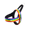 Rainbow dog leash
Cool dog chain lead
Stylish dog leash
Strong chain dog lead
Colorful chain dog leash
Rainbow pet accessories
Durable dog leash chain
Metal dog leash rainbow
Chainbow dog leash
Rainbow leash for big dogs