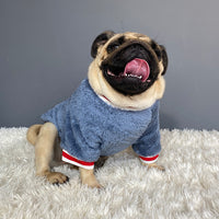 Pet Sweater
Dog Sweater
Cat Sweater
Knitted Pet Sweater
Winter Sweater for Pets
Cozy Dog Sweater
Warm Cat Sweater
Small Dog Sweater
Pet Winter Clothing
Soft Pet Knitwear