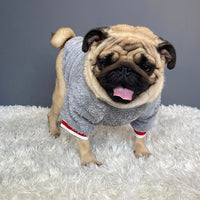Pet Sweater
Dog Sweater
Cat Sweater
Knitted Pet Sweater
Winter Sweater for Pets
Cozy Dog Sweater
Warm Cat Sweater
Small Dog Sweater
Pet Winter Clothing
Soft Pet Knitwear