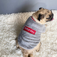 Pet Sweater
Dog Sweater
Cat Sweater
Knitted Pet Sweater
Winter Sweater for Pets
Cozy Dog Sweater
Warm Cat Sweater
Small Dog Sweater
Pet Winter Clothing
Soft Pet Knitwear