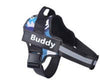 adjustable personalized dog harness for small dogs