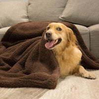 Soft Pet Blanket
Washable Dog Blanket
Cat Blanket for Couch
Waterproof Pet Blanket
Cozy Blanket for Pets
Pet Throw Blanket
Fleece Dog Blanket
Warm Cat Blanket
Travel Pet Blanket
Small Pet Bed Blanket