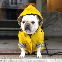 waterproof pet clothes on a small dog
