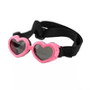 protective pet glasses on a dog