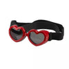 protective pet glasses on a dog