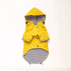 waterproof pet clothes on a small dog