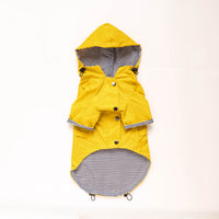 waterproof pet clothes on a small dog