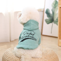 clothing for pets on a small dog