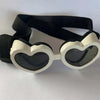 protective pet glasses on a dog