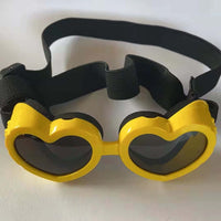 protective pet glasses on a dog
